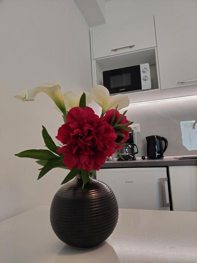 Apartment Mara ดูบรอฟนิก ภายนอก รูปภาพ